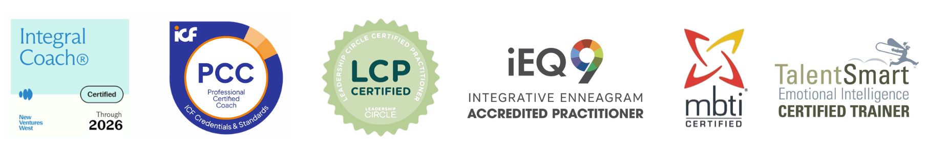 Viviana Donikian Credentials